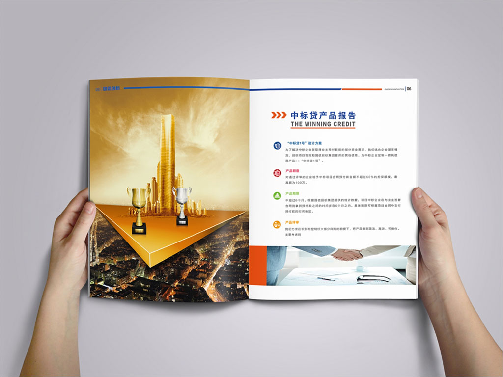 北京國信創新科技股份有限公司畫冊內頁設計