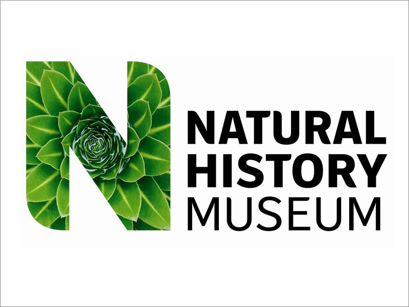 Natural History Museum自然歷史博物館logo設計