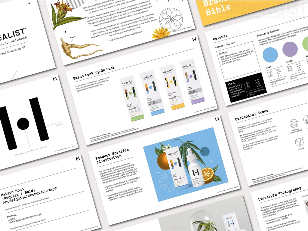 科學與自然完美融合的Healist保健品品牌vi手冊設計