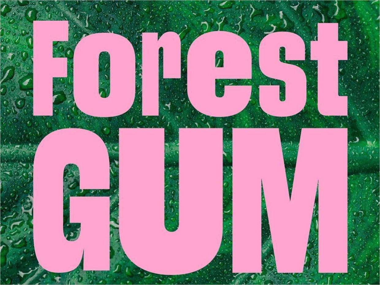 德國Forest Gum天然口香糖logo設計